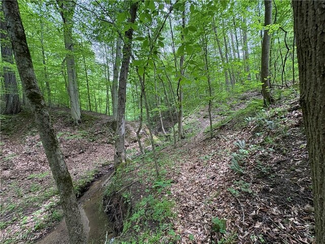Granger Hill Rd, Zanesville, OH 43701 - photo 18