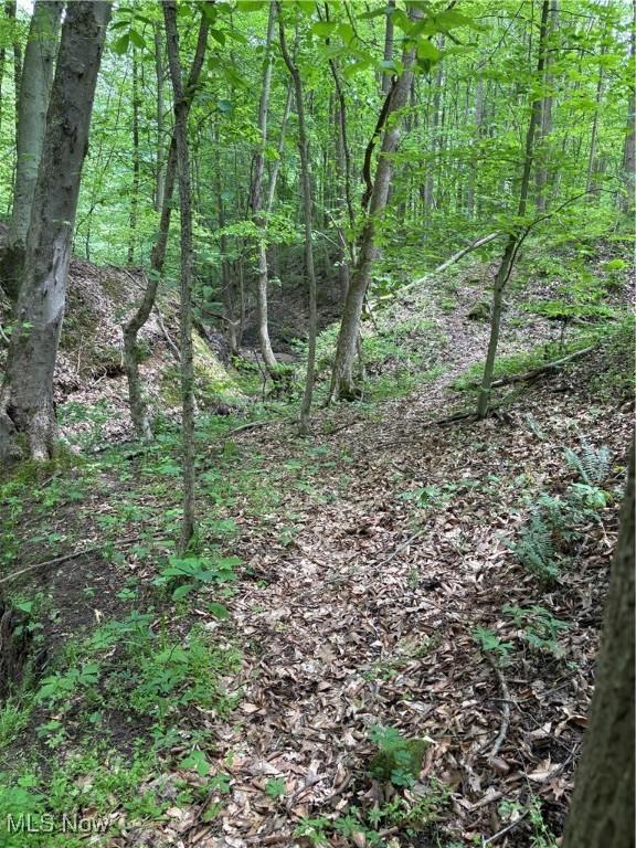 Granger Hill Rd, Zanesville, OH 43701 - photo 19