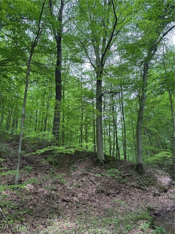 Granger Hill Rd, Zanesville, OH 43701 - photo 20