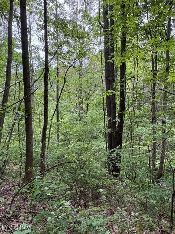 Granger Hill Rd, Zanesville, OH 43701 - photo 4