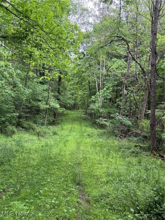 Granger Hill Rd, Zanesville, OH 43701 - photo 21