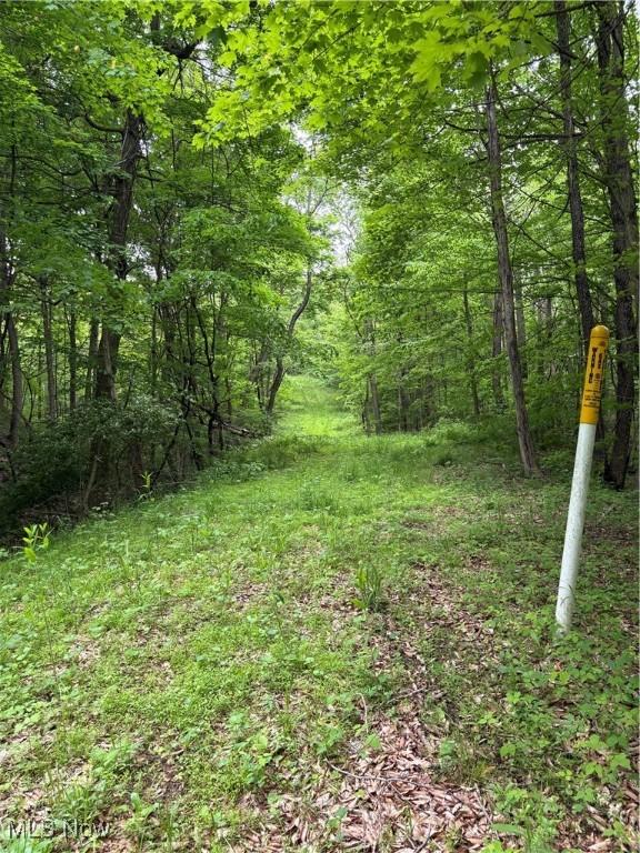 Granger Hill Rd, Zanesville, OH 43701 - photo 23
