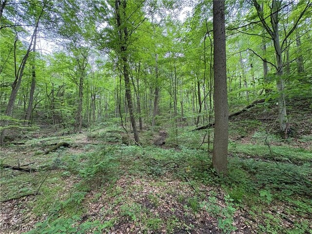 Granger Hill Rd, Zanesville, OH 43701 - photo 24