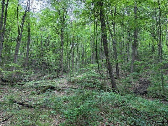 Granger Hill Rd, Zanesville, OH 43701 - photo 25