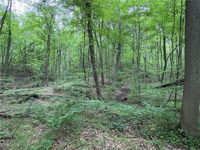 Granger Hill Rd, Zanesville, OH 43701 - photo 26