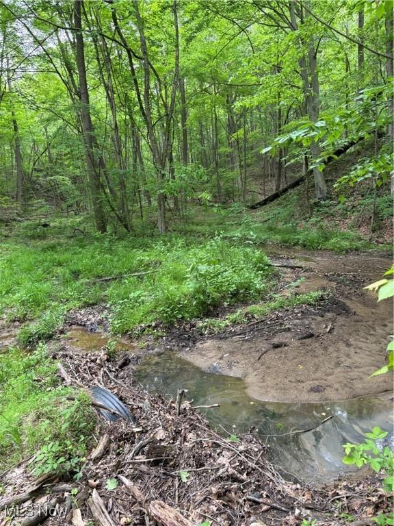 Granger Hill Rd, Zanesville, OH 43701 - photo 27