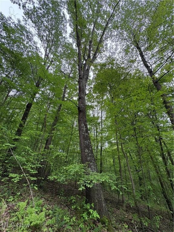 Granger Hill Rd, Zanesville, OH 43701 - photo 30