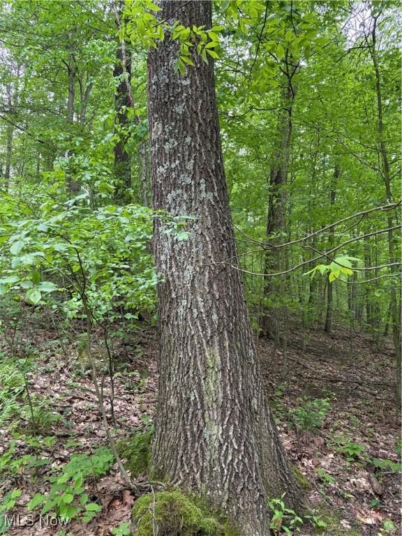 Granger Hill Rd, Zanesville, OH 43701 - photo 31