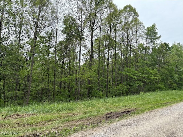 Dennis Rd, Zanesville, OH 43701 - photo 2