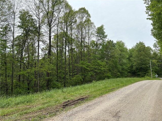 Dennis Rd, Zanesville, OH 43701 - photo 3