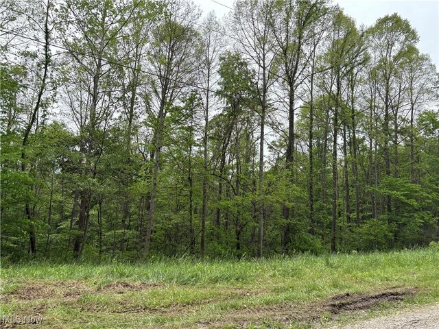 Dennis Rd, Zanesville, OH 43701 - photo 4