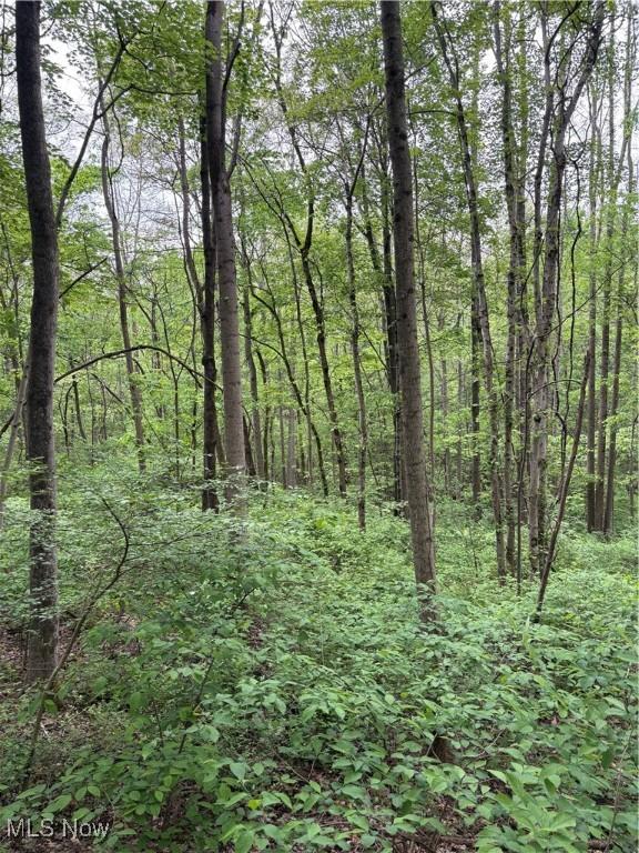 Dennis Rd, Zanesville, OH 43701 - photo 5