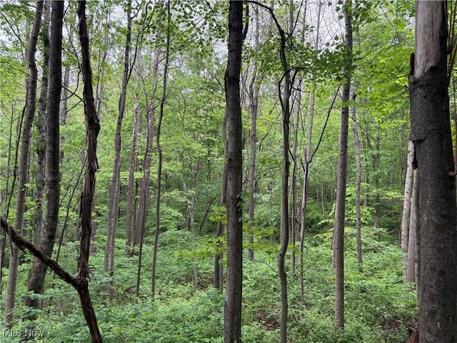 Dennis Rd, Zanesville, OH 43701 - photo 7