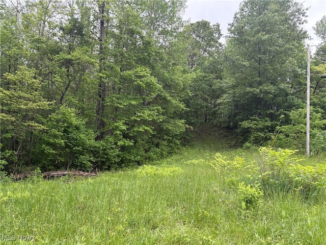 Dennis Rd, Zanesville, OH 43701 - photo 1