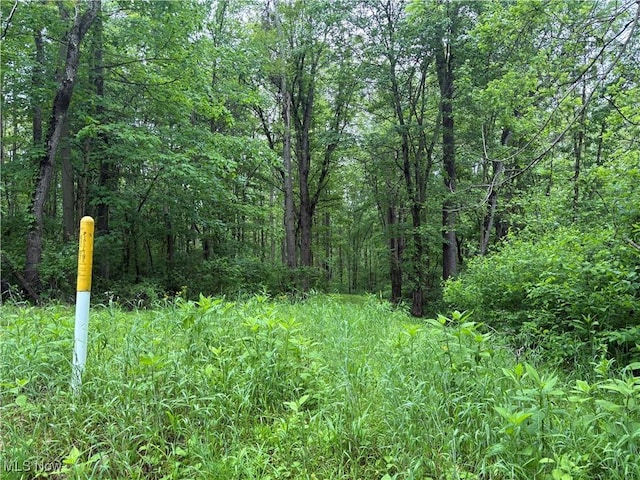 Dennis Rd, Zanesville, OH 43701 - photo 9