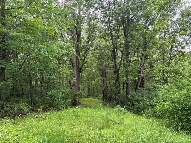 Dennis Rd, Zanesville, OH 43701 - photo 10