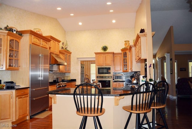 7711 Marewood Pl, Painesville, OH 44077 - kitchen featuring stainless steel appliances, under cabinet range hood, dark wood-style flooring, high vaulted ceiling, and a sink