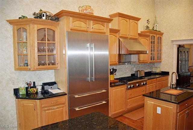 7711 Marewood Pl, Painesville, OH 44077 - kitchen with stainless steel appliances, under cabinet range hood, decorative backsplash, dark stone countertops, and glass insert cabinets