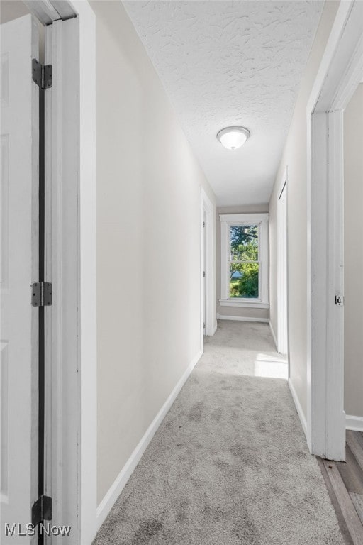 361 Para Ave, Akron, OH 44305 - hall with baseboards, carpet flooring, and a textured ceiling
