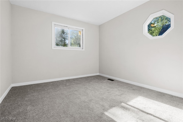361 Para Ave, Akron, OH 44305 - spare room featuring baseboards and carpet