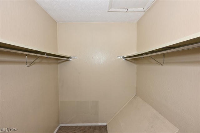 625 Canterbury Ln, Medina, OH 44256 - view of spacious closet