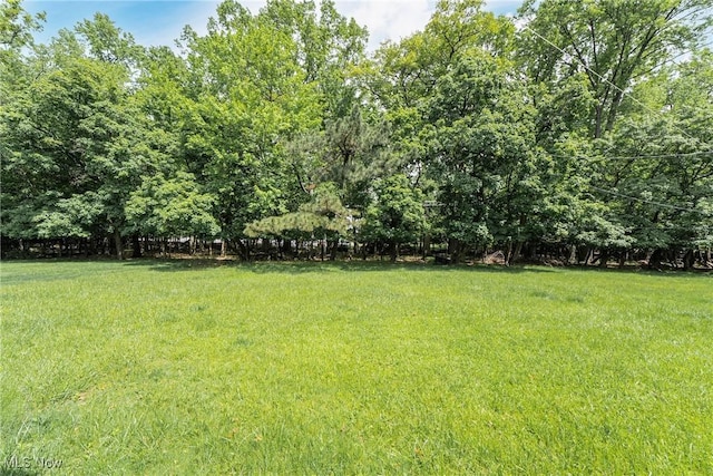 3573 Severn Rd, Cleveland Heights, OH 44118 - view of green lawn