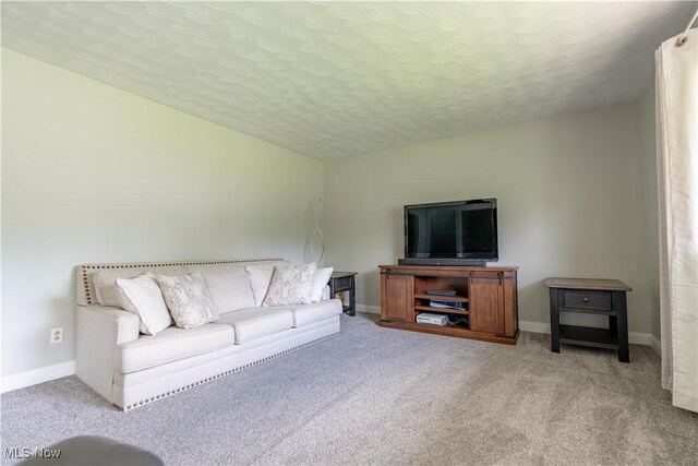 731 39th St SW, Canton, OH 44706 - living room with carpet flooring, a textured ceiling, and baseboards