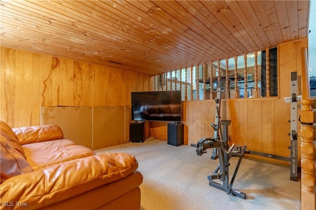 731 39th St SW, Canton, OH 44706 - exercise area with wood walls, carpet flooring, and wooden ceiling