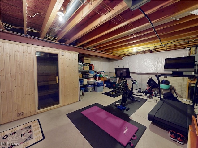 4171 Appleridge Ln, Richfield, OH 44286 - workout area with wood walls
