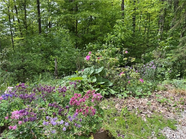 17444 Old State Rd, Middlefield, OH 44062 - view of wooded area