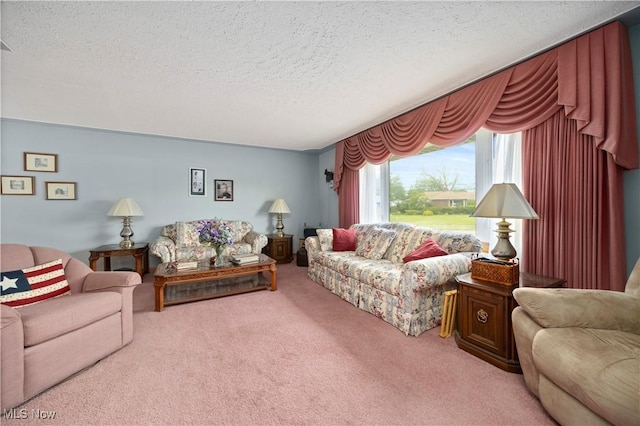 4002 Canterbury Ct, Lorain, OH 44053 - living room with carpet and a textured ceiling
