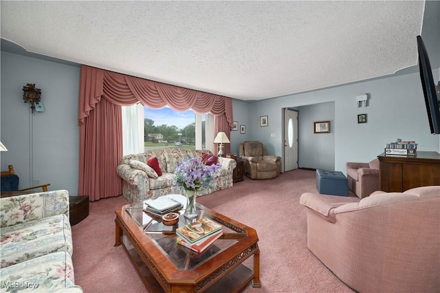 4002 Canterbury Ct, Lorain, OH 44053 - living area with carpet and a textured ceiling