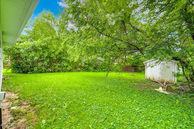 2318 3rd St SE, Canton, OH 44707 - view of green lawn