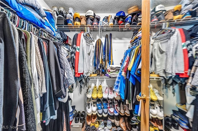 2300 Canterbury Cir, Akron, OH 44319 - view of spacious closet