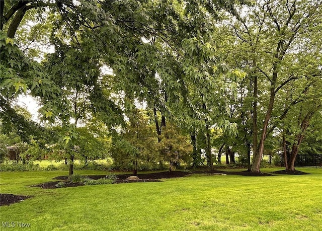 592 Charles Pl, Highland Heights, OH 44143 - view of green lawn