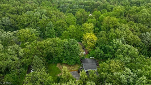 3576 Ellen Dr, Akron, OH 44312 - bird's eye view of a heavily wooded area