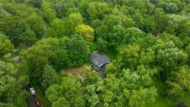 3576 Ellen Dr, Akron, OH 44312 - view from above of property featuring a heavily wooded area