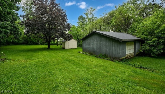 3576 Ellen Dr, Akron, OH 44312 - view of grassy yard