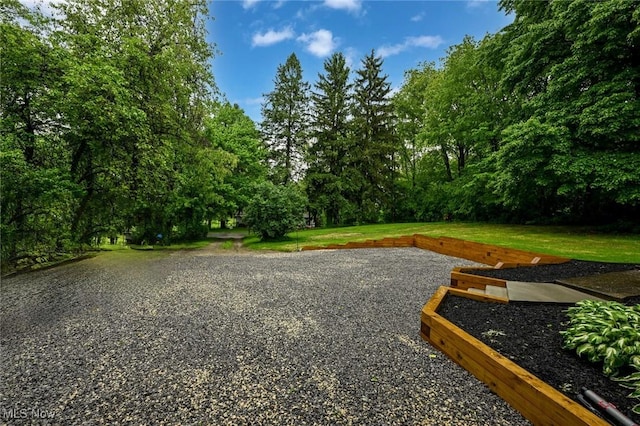 3576 Ellen Dr, Akron, OH 44312 - view of community featuring a yard and view of wooded area