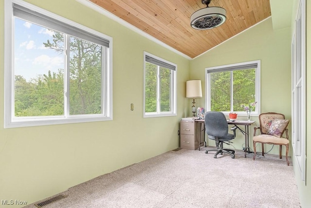 5215 Kapok Dr, Medina, OH 44256 - home office featuring wood ceiling, carpet, and vaulted ceiling