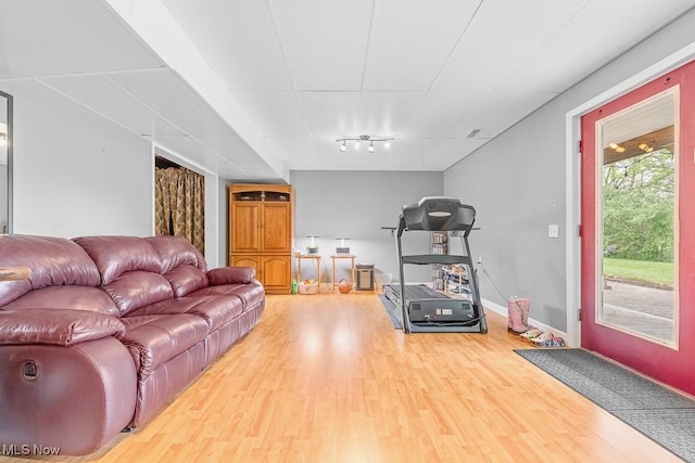 5215 Kapok Dr, Medina, OH 44256 - living room featuring wood finished floors, rail lighting, and baseboards