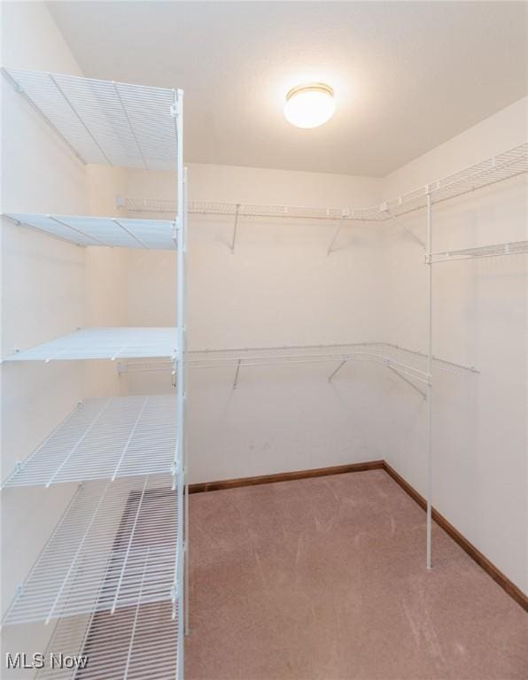 14250 Reserve Ln, Middleburg Heights, OH 44130 - spacious closet featuring carpet floors