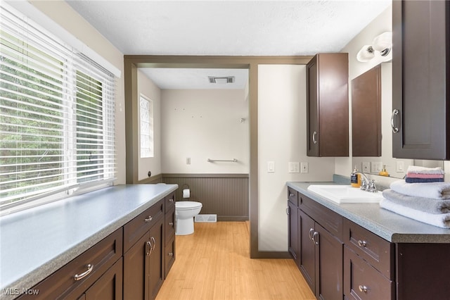 17801 Ellsworth Rd, Lake Milton, OH 44429 - full bathroom featuring a wainscoted wall, vanity, toilet, and wood finished floors