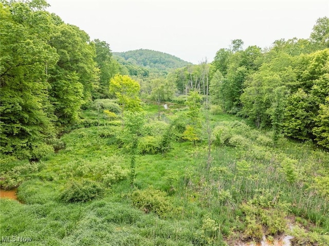 Prider Rd, Kimbolton, OH 43749