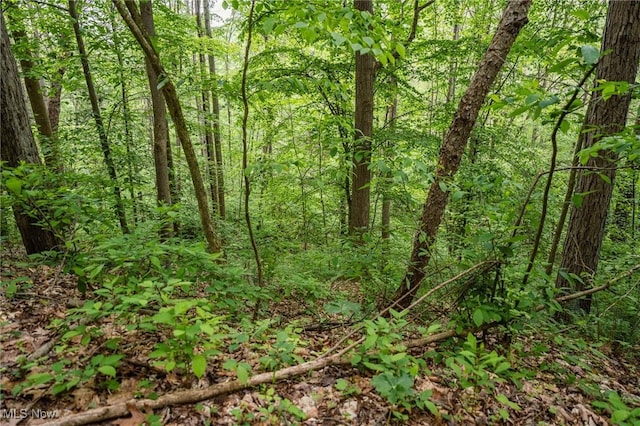 Prider Rd, Kimbolton, OH 43749