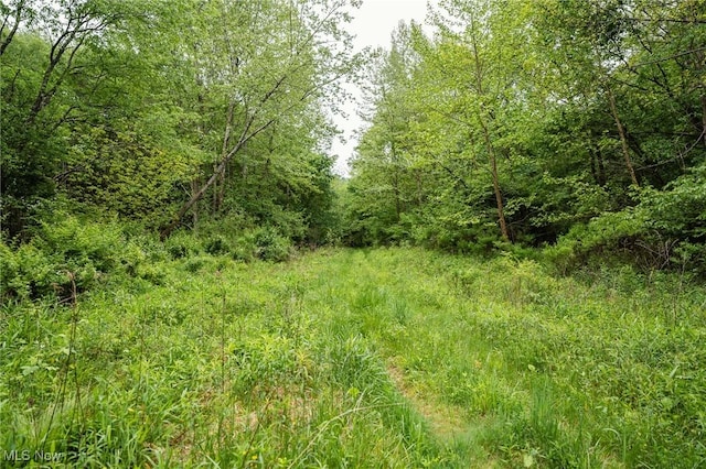 Prider Rd, Kimbolton, OH 43749