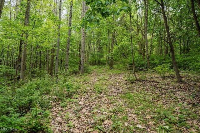 Prider Rd, Kimbolton, OH 43749