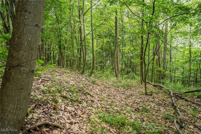 Prider Rd, Kimbolton, OH 43749