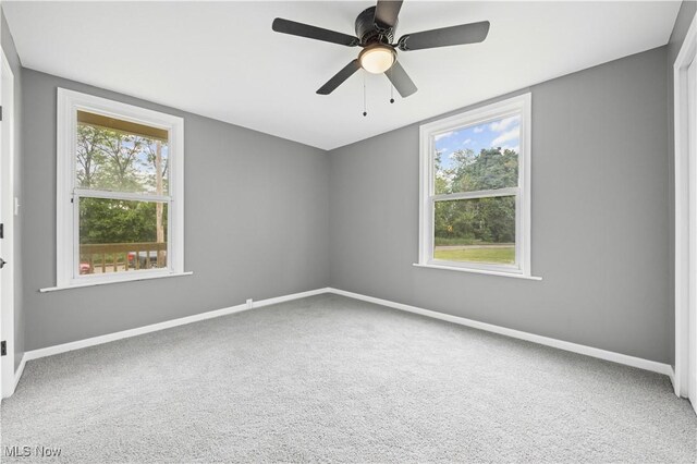 1632 Holmden Ave, Cleveland, OH 44109 - photo 15