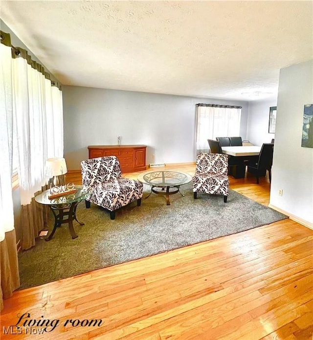 6101 Laurent Dr, Parma, OH 44129 - living area with hardwood / wood-style flooring and a textured ceiling